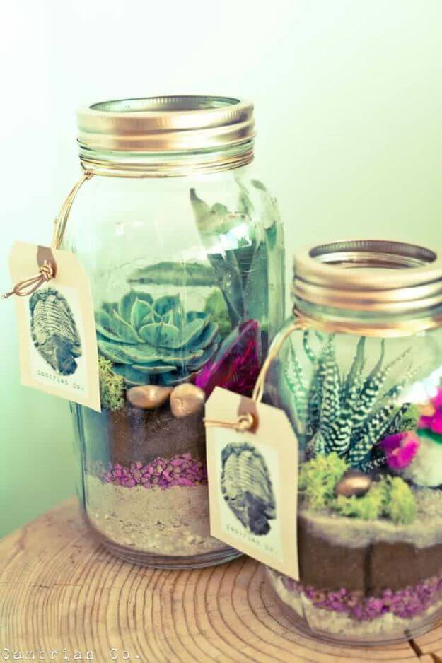 Glass Containers and Cactus